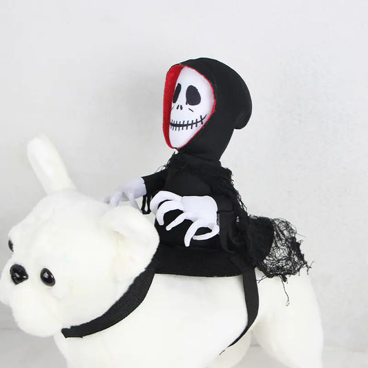 Halloween Pets in Funny Teddy Capes