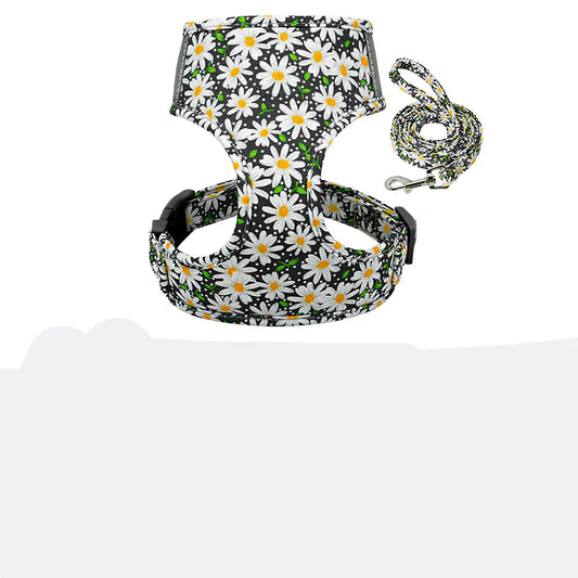 Collar and Chest Strap for Pets