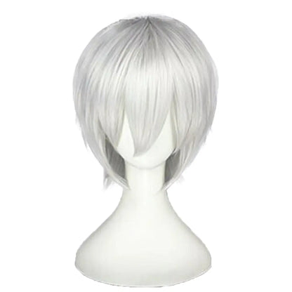 Anime Cosplay Short Silver Wig